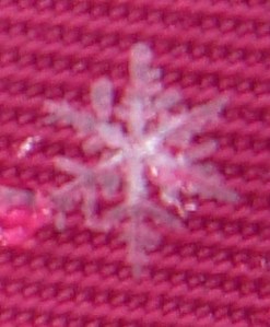 snowflake 003
