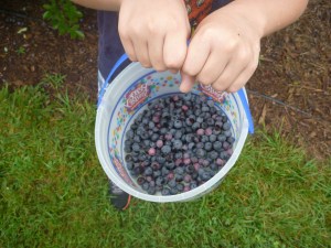 Through October 2013 174