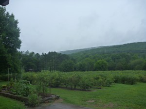 Through October 2013 177