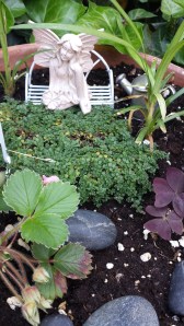 Australia and April and early May (phone) 513